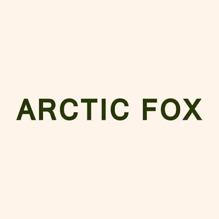 Arctic Fox