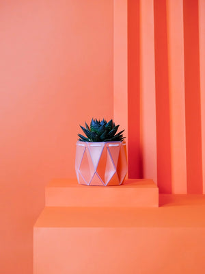 POTR x Waterhaul Recycled Ocean Plastic Self Watering Plant Pot - 11cm