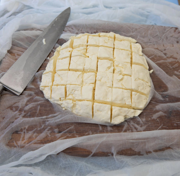 The Big Cheese Making Kit - Beer Lover's Cheese Making Kit