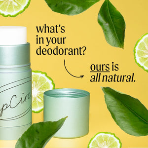 UpCircle Plastic Free Refillable Deodorant with Macadamia + Bergamot