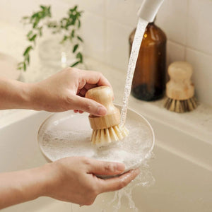 Jungle Culture Bamboo Dish Brush Set - x2 Brushes