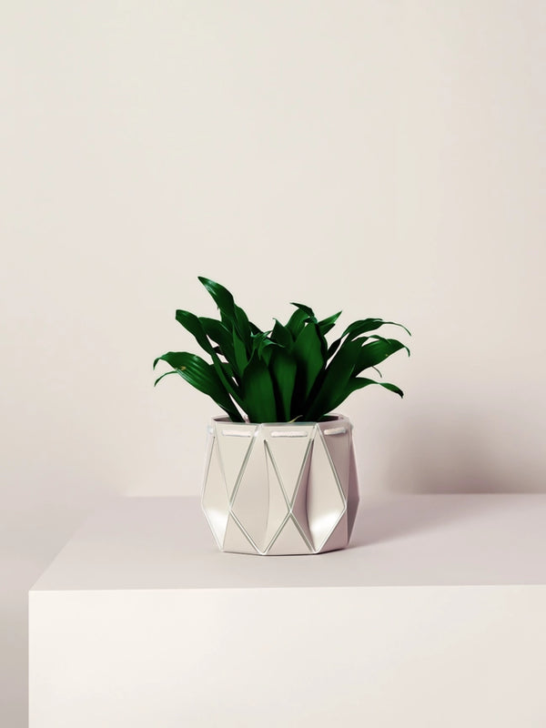 POTR x Waterhaul Recycled Ocean Plastic Self Watering Plant Pot - 11cm