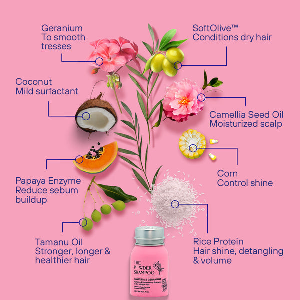The Powder Shampoo - For Dry & Damaged Hair