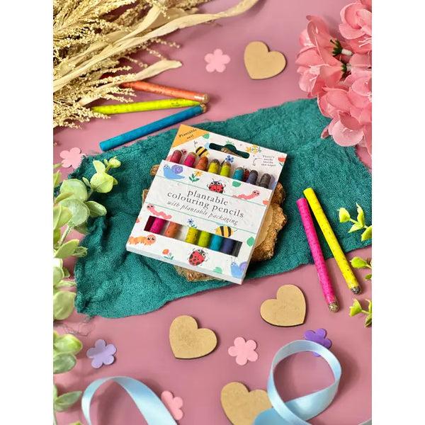 Plantable Colouring Pencils x6 Pack - 100% Plastic Free