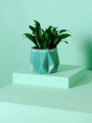 POTR x Waterhaul Recycled Ocean Plastic Self Watering Plant Pot - 11cm