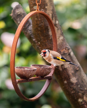 Savage Works Steel Hanging Double Bird Feeder