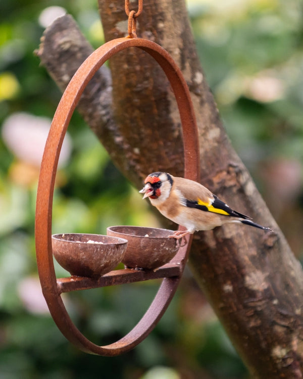 Savage Works Steel Hanging Double Bird Feeder