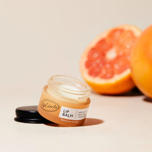 UpCircle Natural Vegan Lip Balm with Hemp Seed Oil