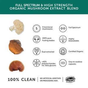Together Health Mushroom 5 Blend 9300mg x30 – Compostable Packet