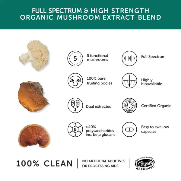Together Health Mushroom 5 Blend 9300mg x30 – Compostable Packet