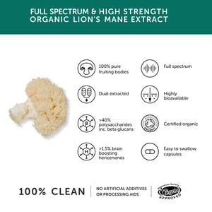 Together Health Lions Mane Mushroom 9740mg High Strenth x60 Capsules – Compostable Packet
