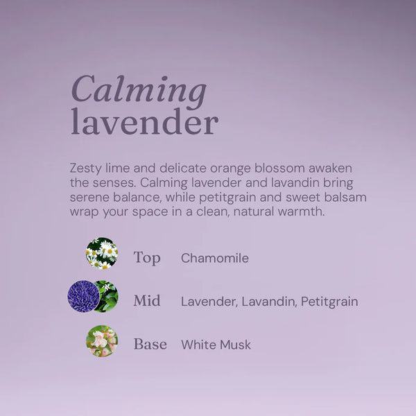 Miniml Anti-Bac Surface Cleaner French Lavender - Home Refill