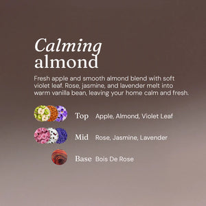 Miniml Floor Cleaner Nutty Almond - Home Refill