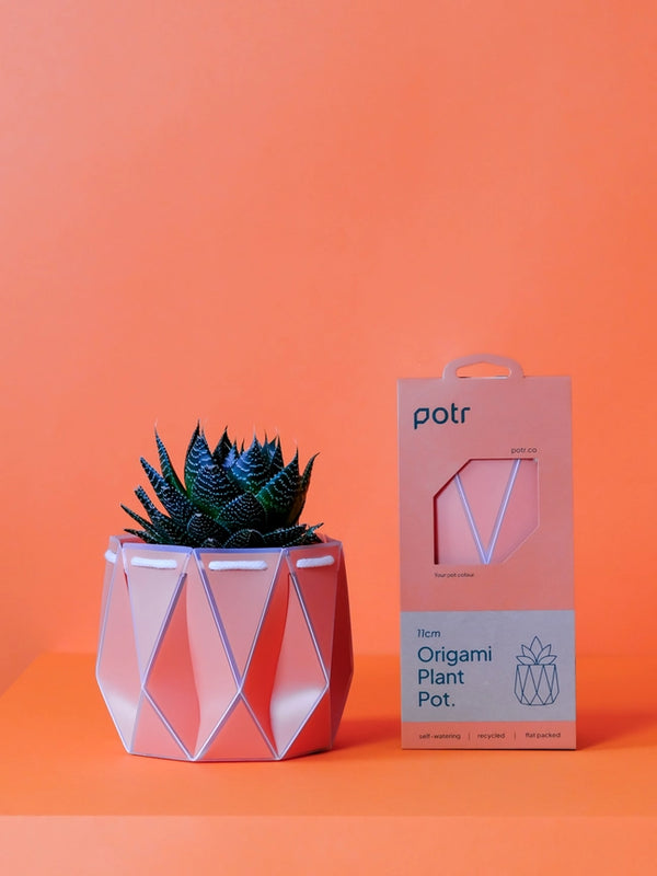 POTR x Waterhaul Recycled Ocean Plastic Self Watering Plant Pot - 11cm