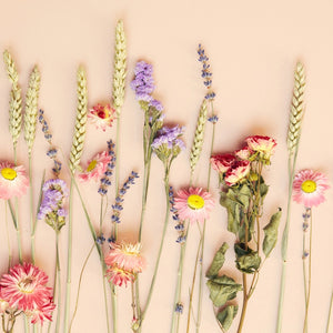 Wildflowers by Floriette Dried Flower Letterbox Gift - Pink