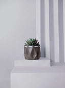 POTR x Waterhaul Recycled Ocean Plastic Self Watering Plant Pot - 11cm