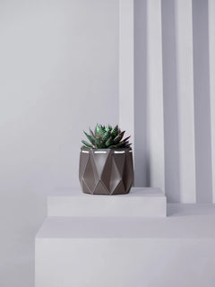 POTR x Waterhaul Recycled Ocean Plastic Self Watering Plant Pot - 11cm