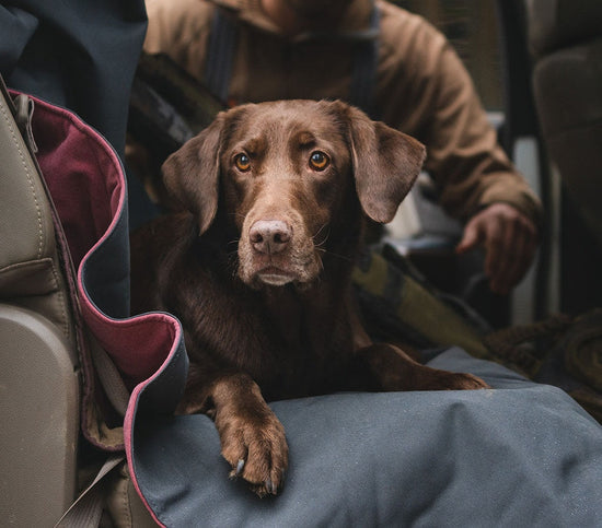 YETI LOWLANDS® Waterproof & Pet Proof Blanket