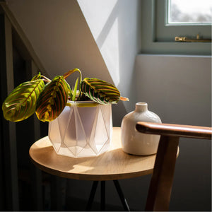 POTR x Waterhaul Recycled Ocean Plastic Self Watering Plant Pot - 11cm