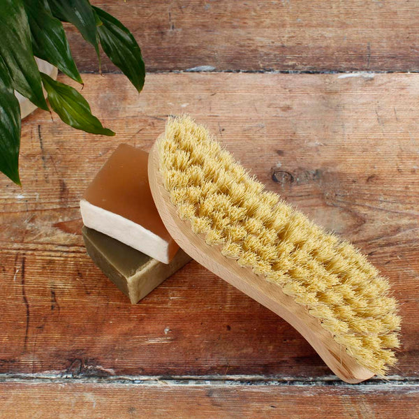 A Slice Of Green Scrubbing Brush With Plant Bristles