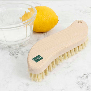 A Slice Of Green Scrubbing Brush With Plant Bristles