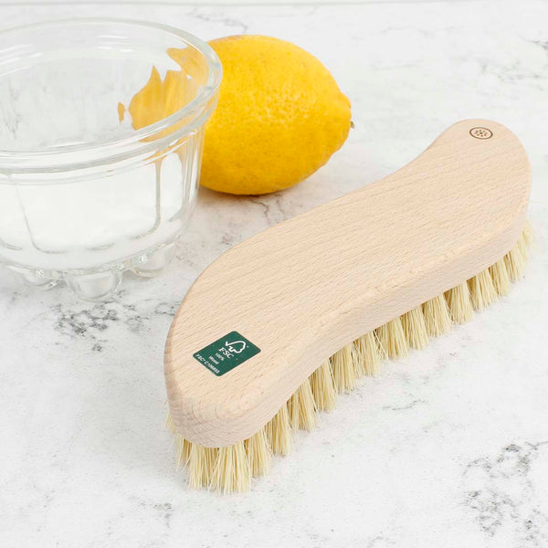 A Slice Of Green Scrubbing Brush With Plant Bristles