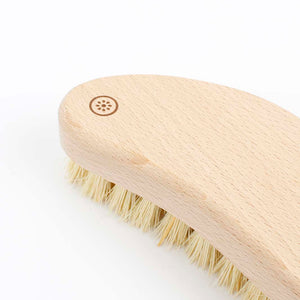 A Slice Of Green Scrubbing Brush With Plant Bristles