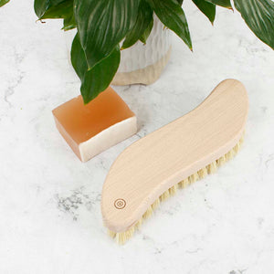 A Slice Of Green Scrubbing Brush With Plant Bristles