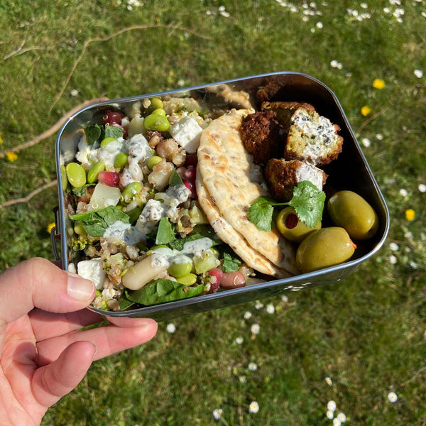 A Slice Of Green Stainless Steel Leak Resistant Lunch Box
