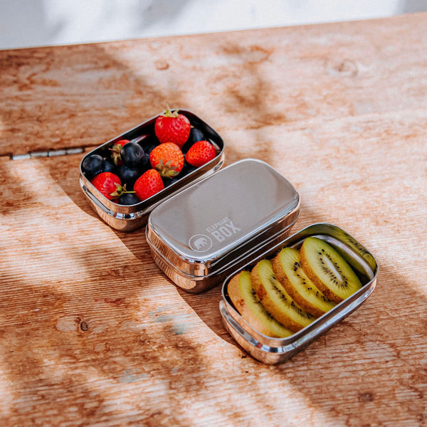 Elephant Box Stainless Steel Mini Snack Pod