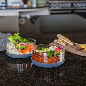 Elephant Box Leakproof Glass Lunch Box - Lunch Bowl