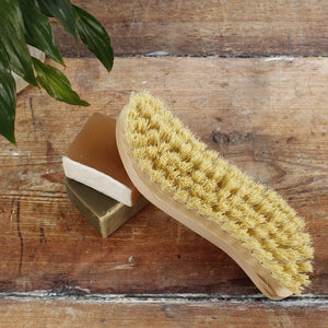 A Slice Of Green Scrubbing Brush With Plant Bristles - Plastic Freedom