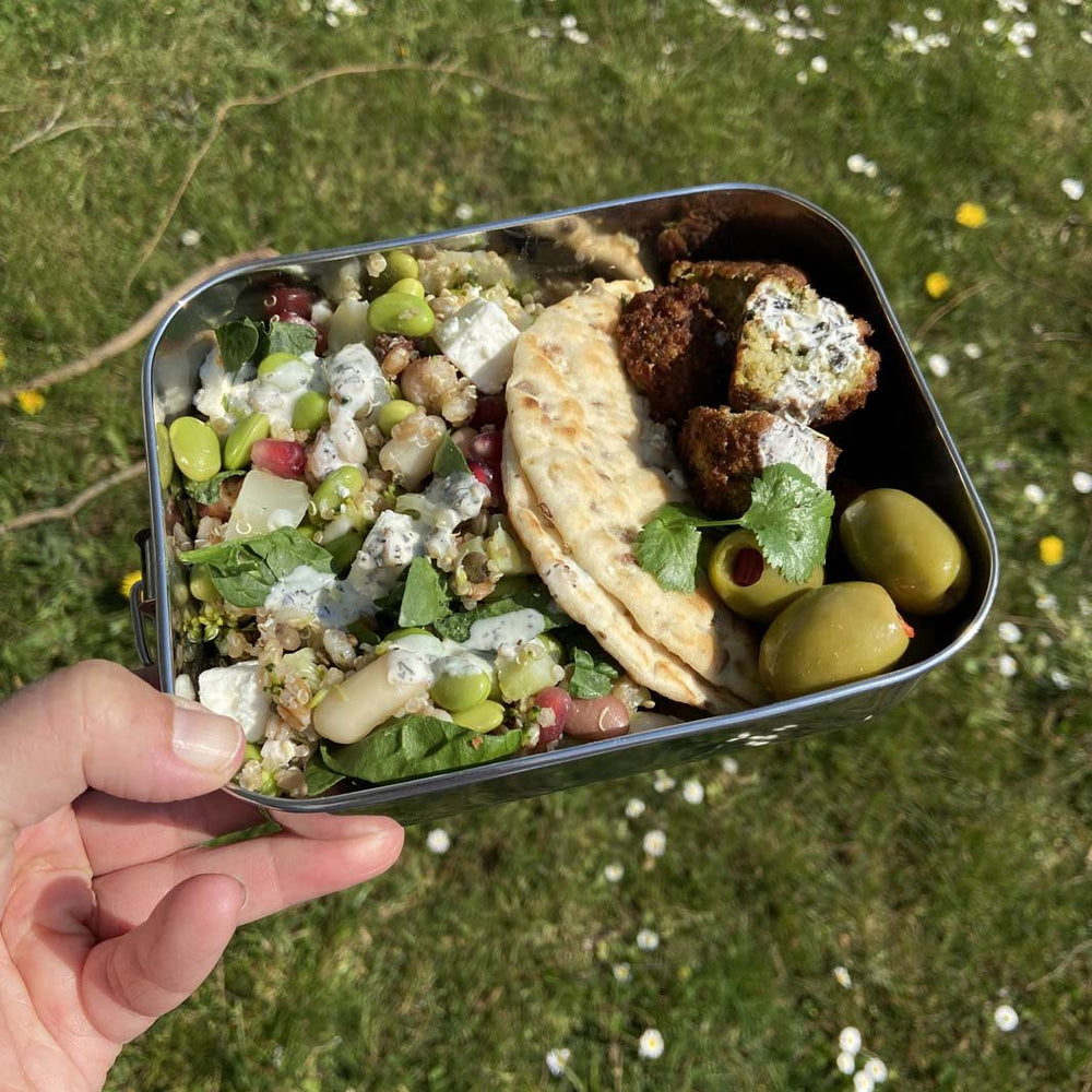 A Slice Of Green Stainless Steel Leak Resistant Lunch Box - Plastic Freedom