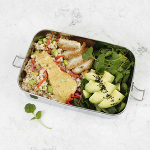 A Slice Of Green Stainless Steel Leak Resistant Lunchbox - Plastic Freedom