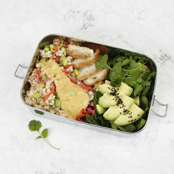 A Slice Of Green Stainless Steel Leak Resistant Lunchbox - Plastic Freedom