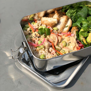 A Slice Of Green Stainless Steel Leak Resistant Lunchbox - Plastic Freedom