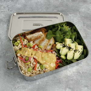 A Slice Of Green Stainless Steel Leak Resistant Lunchbox - Plastic Freedom