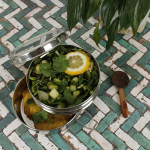 A Slice Of Green Stainless Steel Two Tier Round Lunch Box - Plastic Freedom