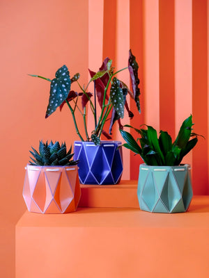 POTR x Waterhaul Recycled Ocean Plastic Self Watering Plant Pot - 11cm