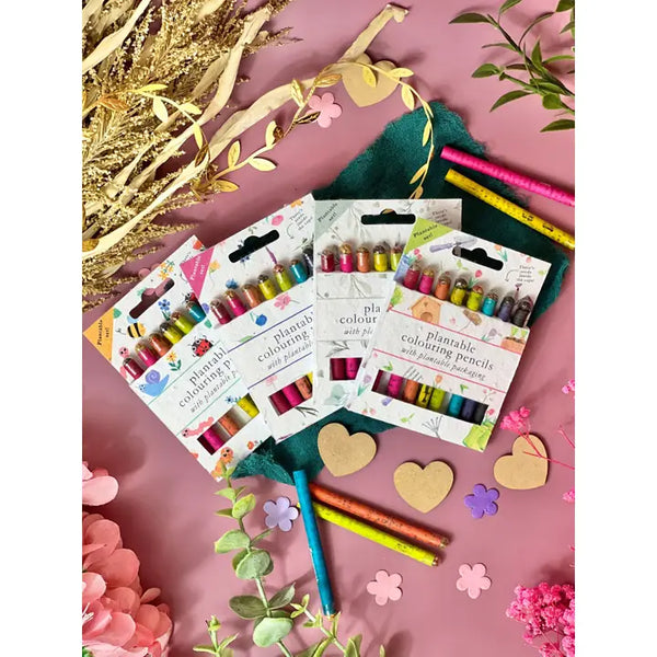 Plantable Colouring Pencils x6 Pack - 100% Plastic Free