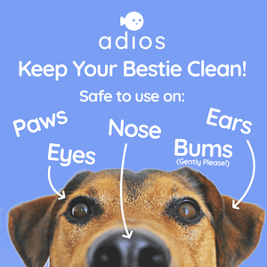 Adios Plastic Compostable 100% Compostable Pet Wet Wipes - Plastic Freedom