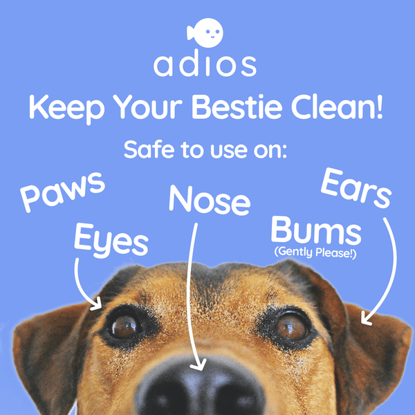Adios Plastic Compostable 100% Compostable Pet Wet Wipes - Plastic Freedom