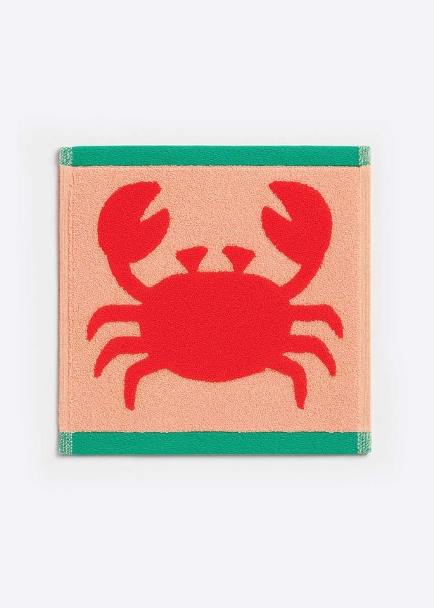 Anorak Organic Cotton Face Cloth - x1 - Plastic Freedom