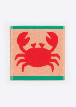 Anorak Organic Cotton Face Cloth - x1 - Plastic Freedom