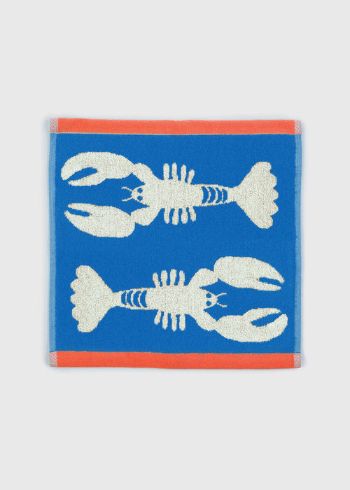 Anorak Organic Cotton Face Cloth - x1 - Plastic Freedom
