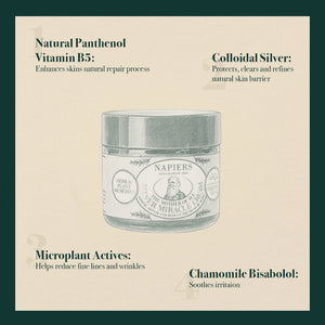 Napiers Napiers Mother of All Silver Miracle Cream for Oily & Blemish Prone Skin - 60ml