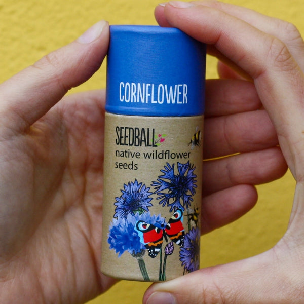 Seedball Wildflower Tube