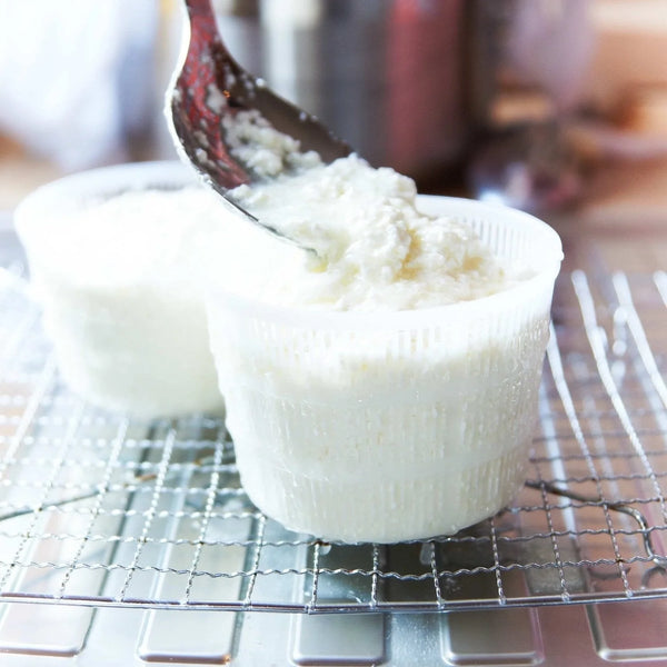 The Big Cheese Making Kit - The Ultimate Cheese Making Kit