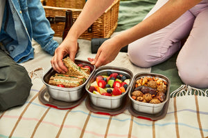 Black + Blum Stainless Steel Microwave-Safe & Leak Proof Lunch Box Set - Plastic Freedom