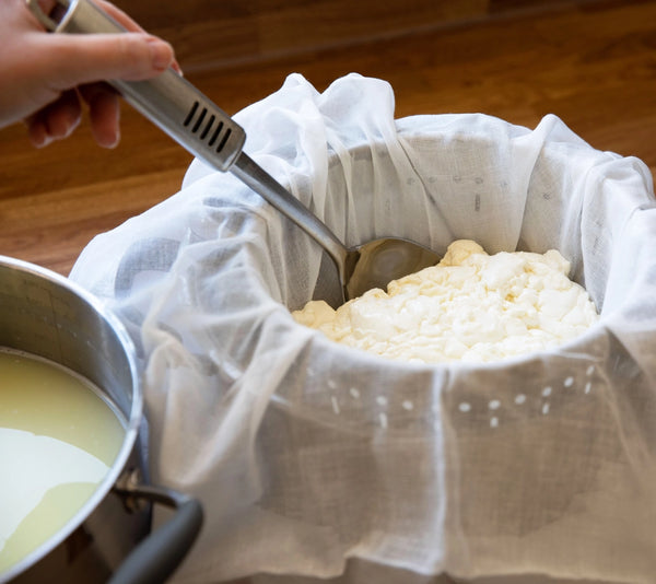 The Big Cheese Making Kit - Beer Lover's Cheese Making Kit
